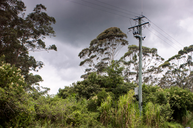 Religador OSM NOJA Power de redução de incêndios em Queensland, na Austrália.